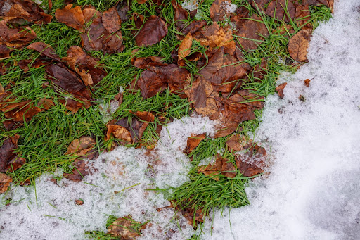 Snow melting to reveal grass